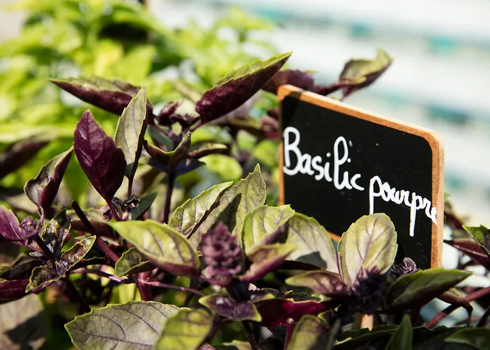 Radisson BluHotel Nice